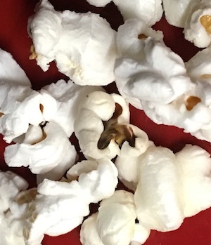 popcornw